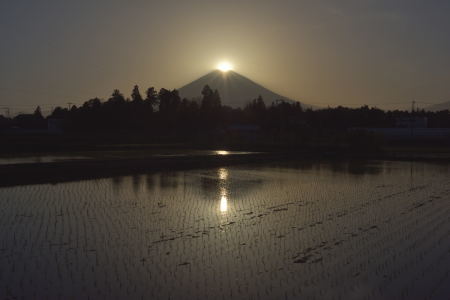 c0314839_06074331.jpg