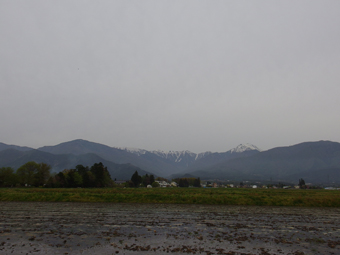 a0014840_216052.jpg