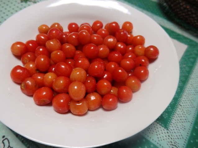 a0054240_018030.jpg