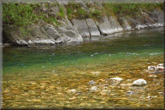 f0363141_851386.jpg