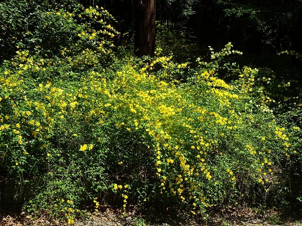 b0299042_09044093.jpg