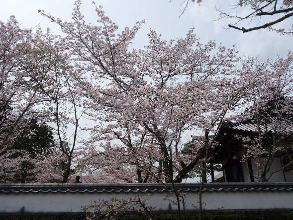 b0299042_10505316.jpg