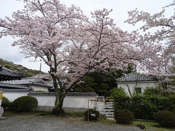 b0299042_10542610.jpg