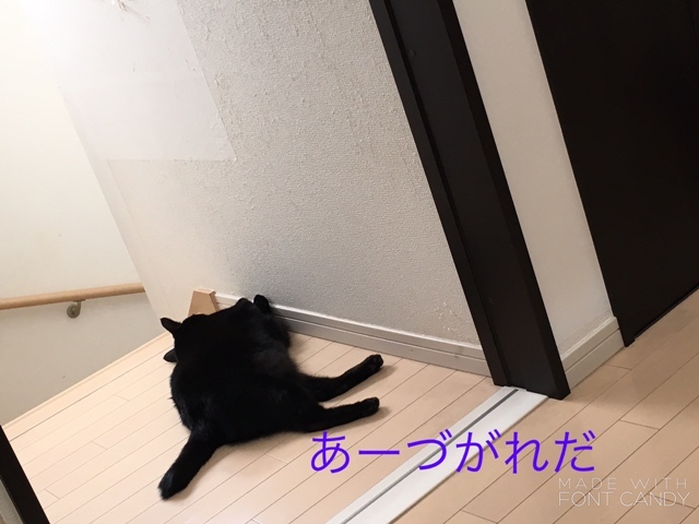 c0295443_15095217.jpg