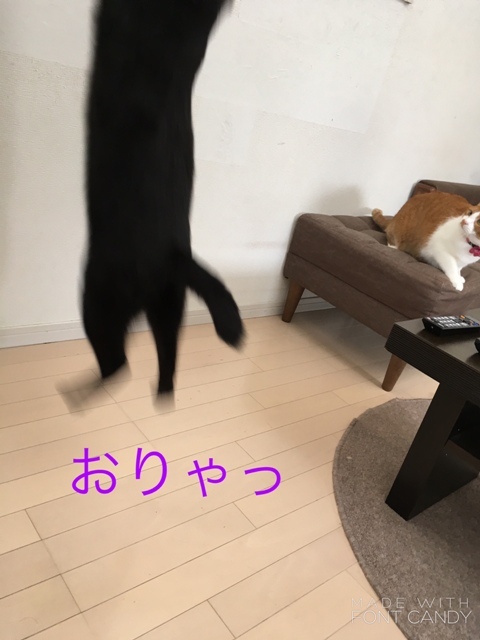 c0295443_15095260.jpg