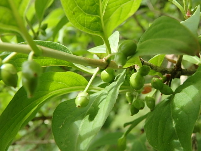 f0334143_1952235.jpg