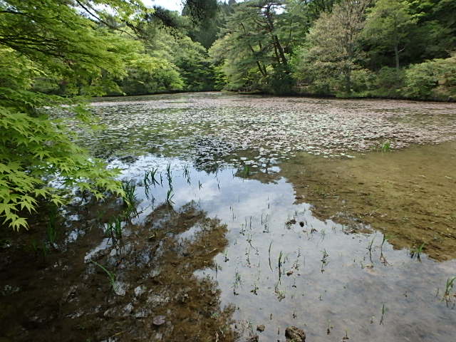 f0334143_1971992.jpg