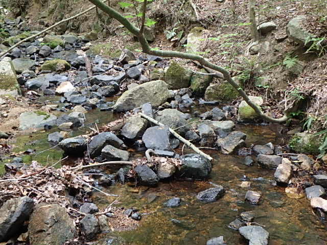 f0334143_198304.jpg