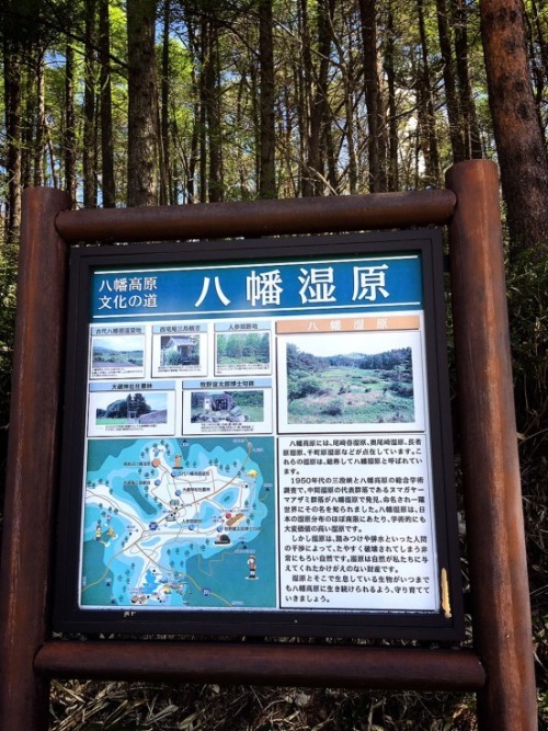 f0191444_13002095.jpg
