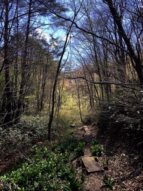 f0191444_13010980.jpg