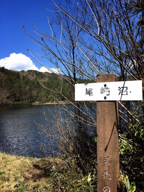 f0191444_13011651.jpg