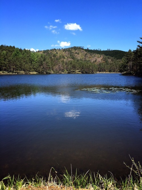 f0191444_13012173.jpg