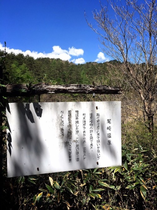 f0191444_13012931.jpg