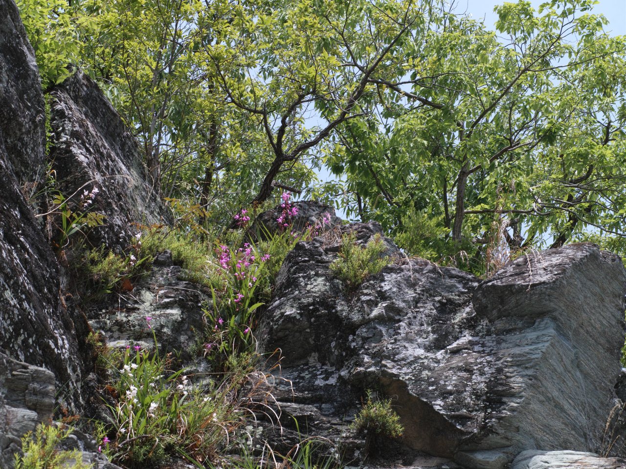 c0008948_16505355.jpg