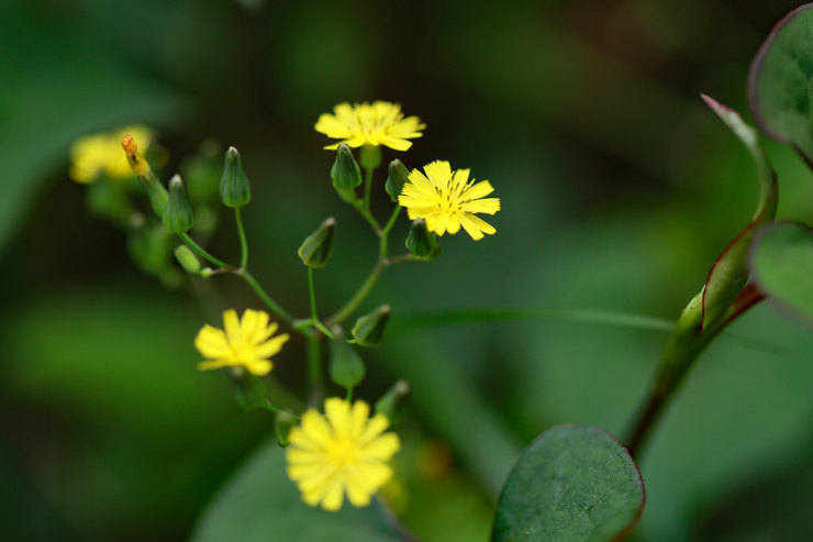 a0120949_6131040.jpg