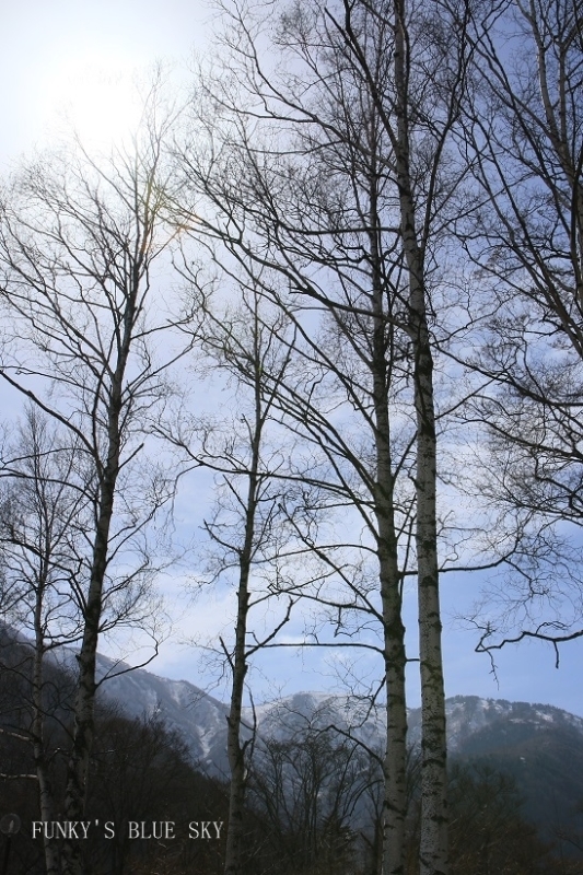 c0145250_11270594.jpg