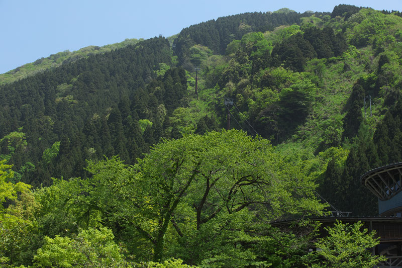 d0342652_14121435.jpg