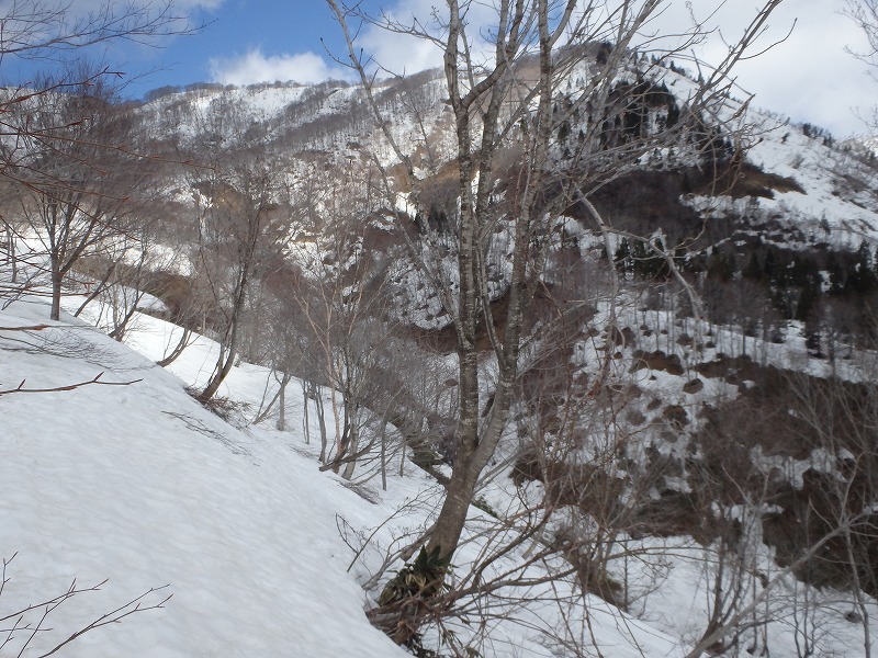 c0097754_15123037.jpg
