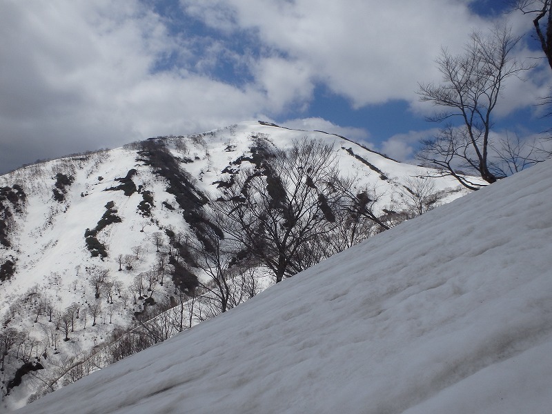 c0097754_15142742.jpg