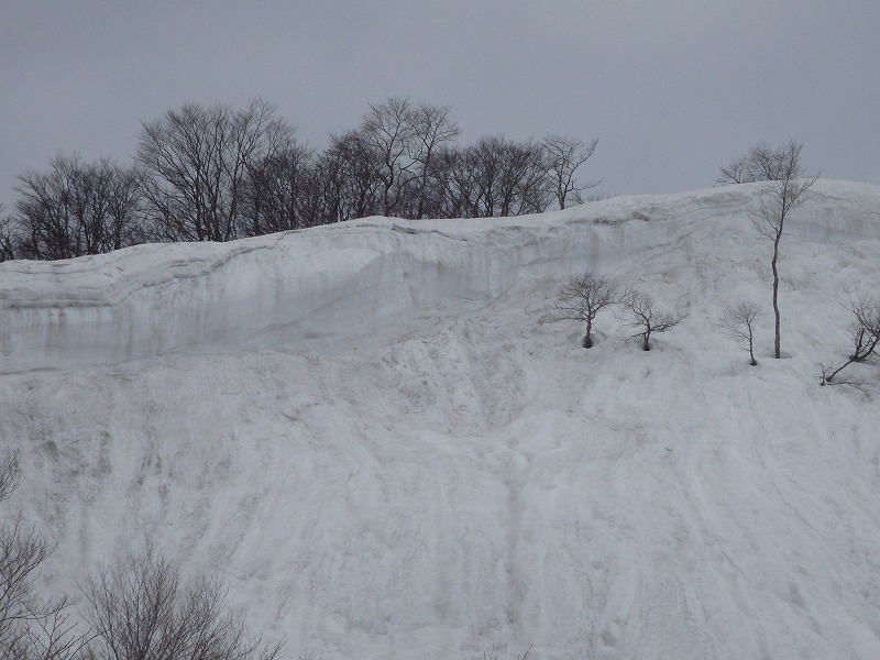 c0097754_15151985.jpg