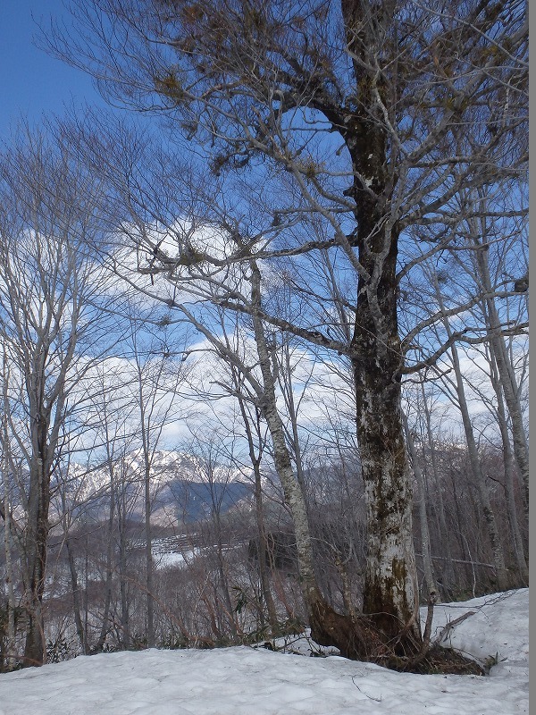 c0097754_15313749.jpg