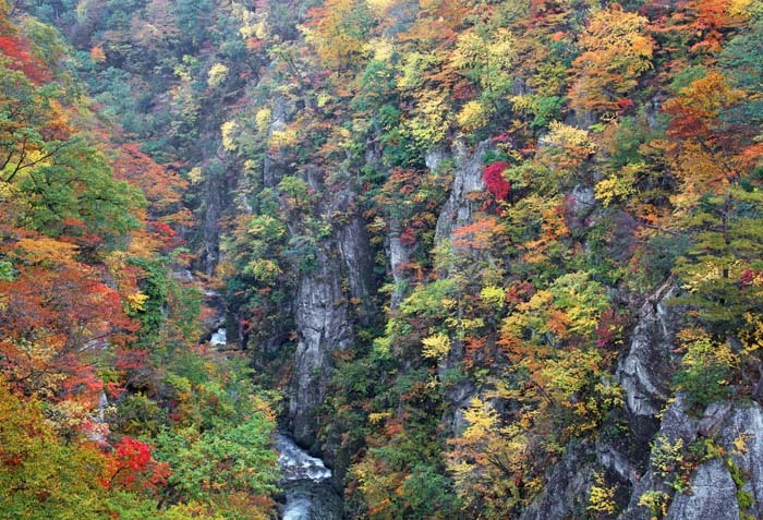 b0355457_11504355.jpg