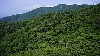 a0093965_11042475.jpg