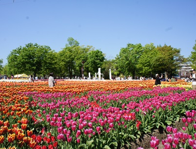 c0163878_9301723.jpg
