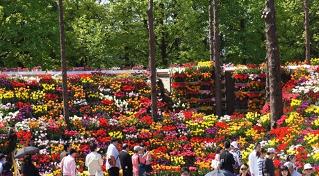c0163878_9352082.jpg