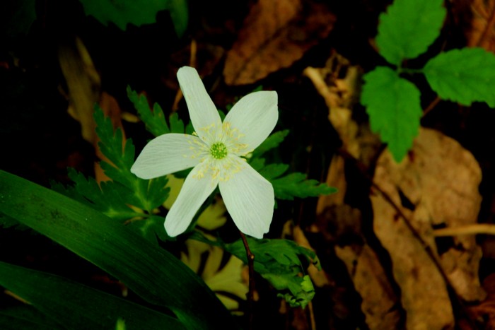 d0178082_9573538.jpg