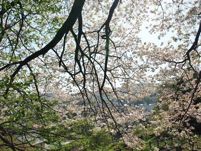 d0344982_15090383.jpg