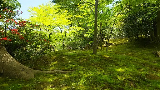 e0020682_18393584.jpg