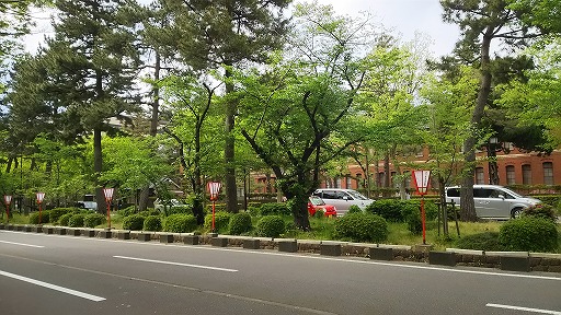 e0020682_19564033.jpg