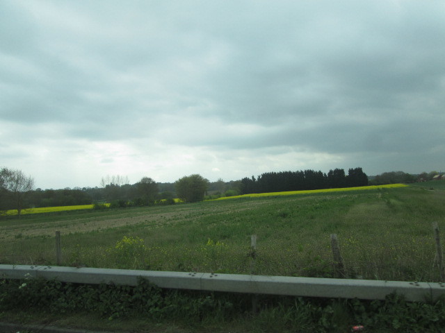 a0172884_12170346.jpg