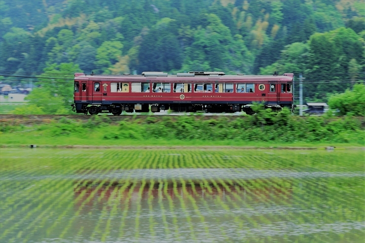 a0335890_08194822.jpg