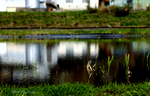 c0246290_23431265.jpg