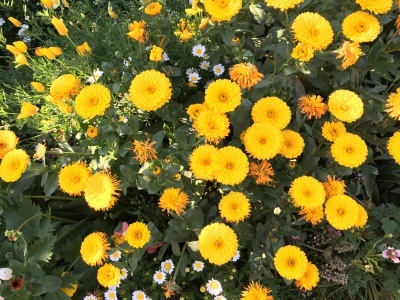 c0221896_04552675.jpg