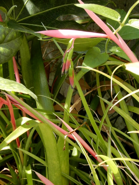 e0025300_18234383.jpg
