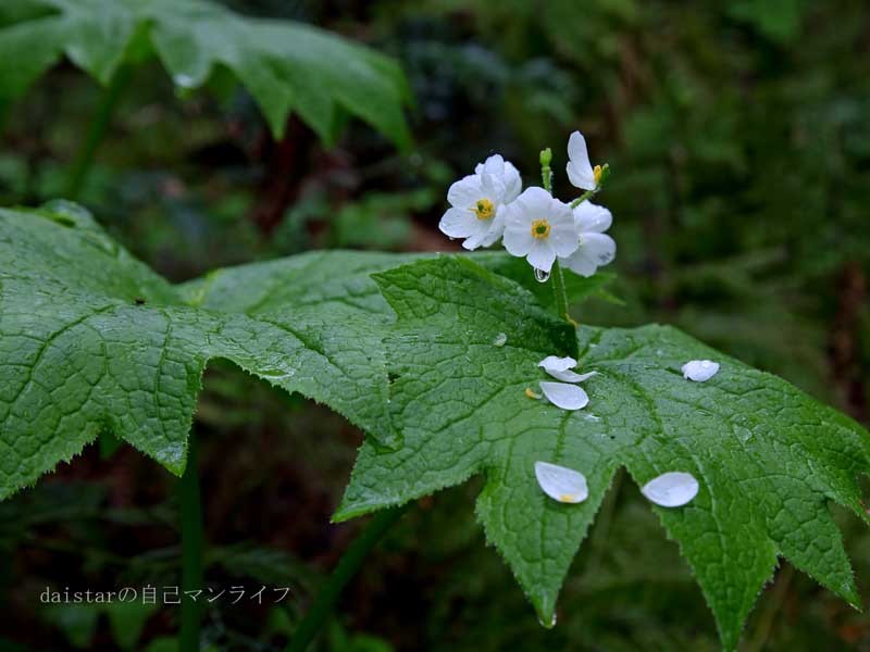 d0361602_14080973.jpg