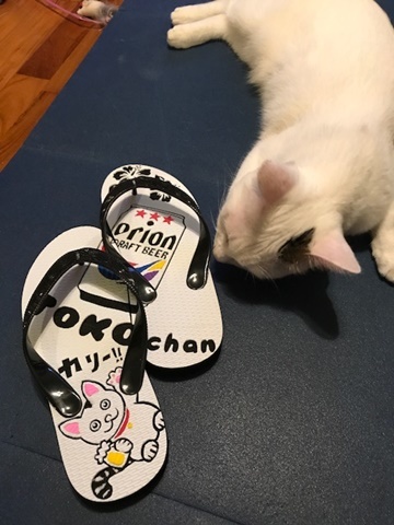 e0359604_20382778.jpeg