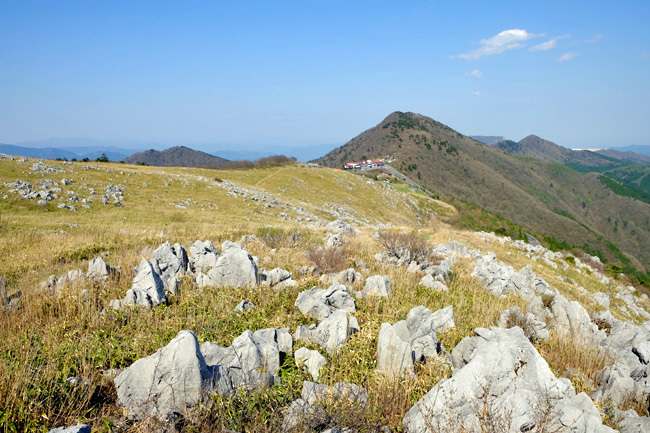 f0179404_07041950.jpg