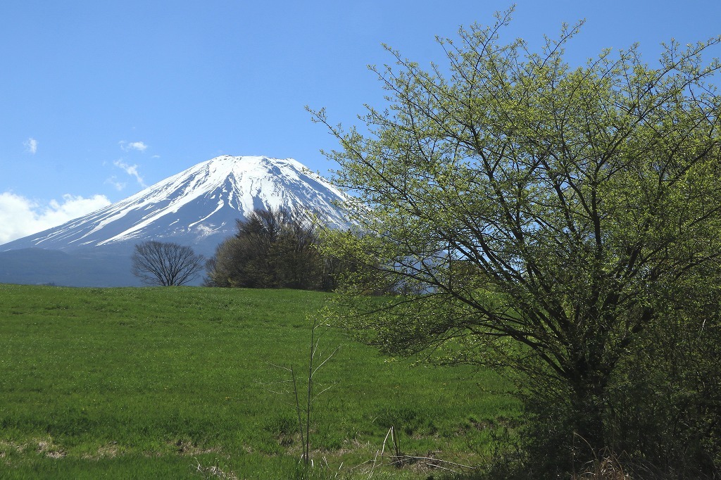a0188405_21112089.jpg