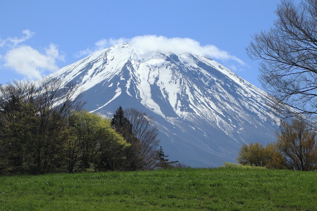 a0188405_21173300.jpg