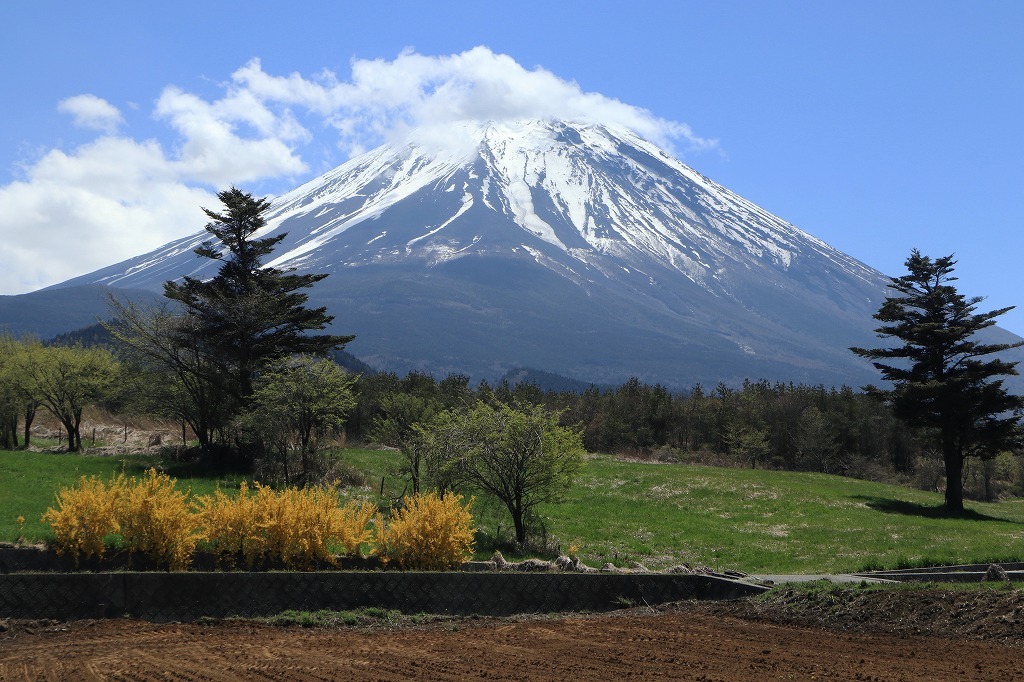 a0188405_21265570.jpg