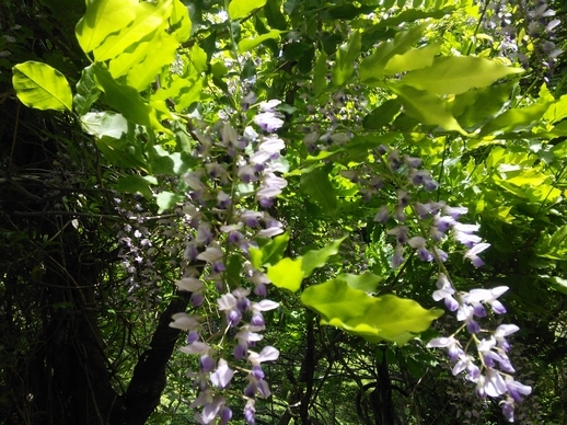 c0149408_09454101.jpg