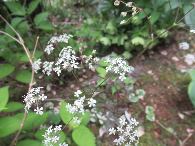 f0297809_22112211.jpg