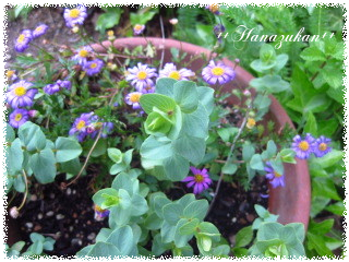 c0352015_21522884.png