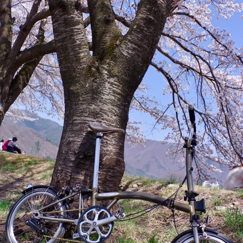 b0168516_23061099.jpg