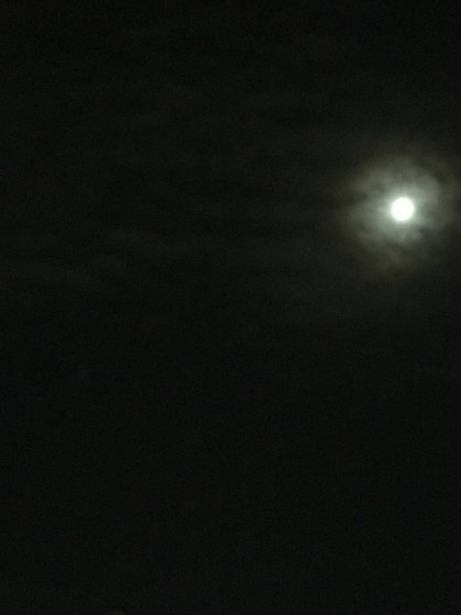 f0213618_07475731.jpg