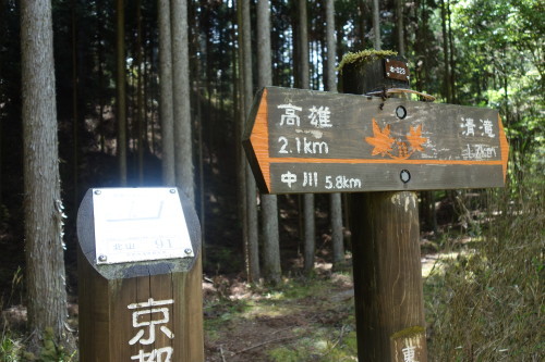 c0223019_13062909.jpg